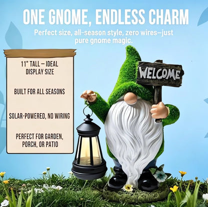 🌺🌺Summer Sale 49% OFF🔥Outdoor Garden Gnomes with LED Solar Light