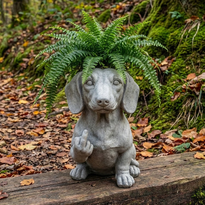 🐶Funny French Bulldog Planter – Your Plants Just Got Attitude 🌿🐶
