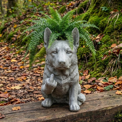 🐶Funny French Bulldog Planter – Your Plants Just Got Attitude 🌿🐶