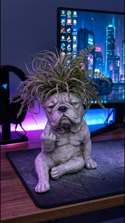 🐶Funny French Bulldog Planter – Your Plants Just Got Attitude 🌿🐶