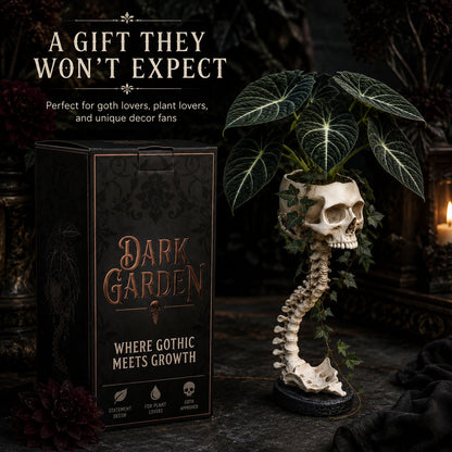 💀💀 🌿 Sculptured Skull Flowerpot